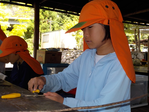 DSCN0403.JPG