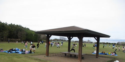 IMG_8985.JPG