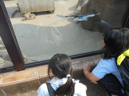 DSCN7937.JPG