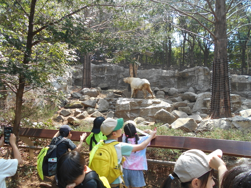 DSCN7926.JPG