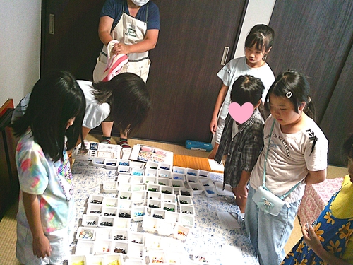 DSCF0989.JPG