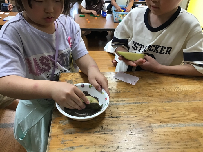 じゃがいも.jpg