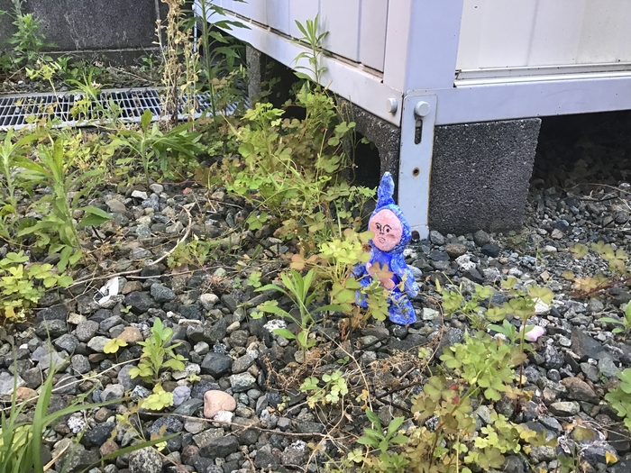 写真⑫.jpg