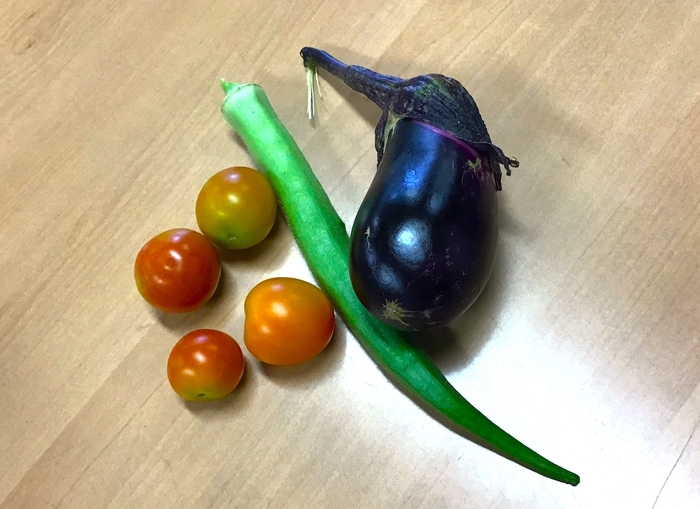野菜.jpg