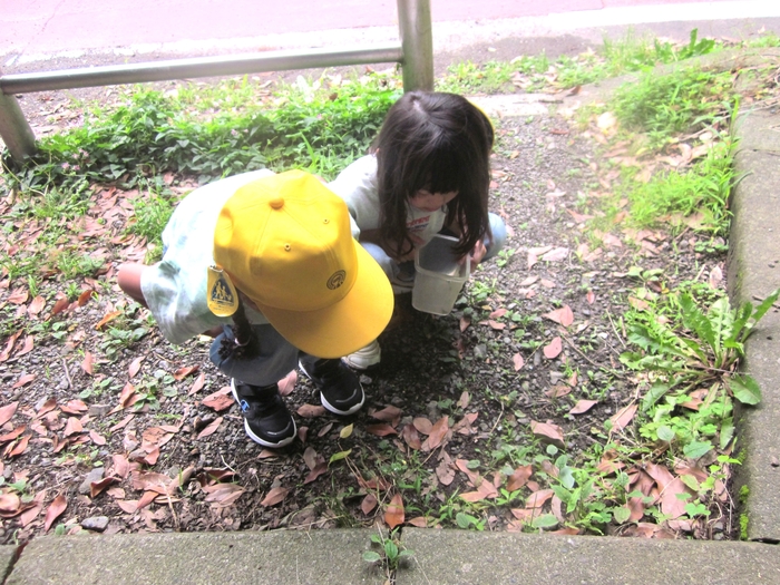 写真④.jpg