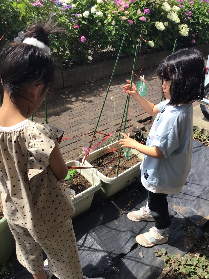 からすよけ.jpg