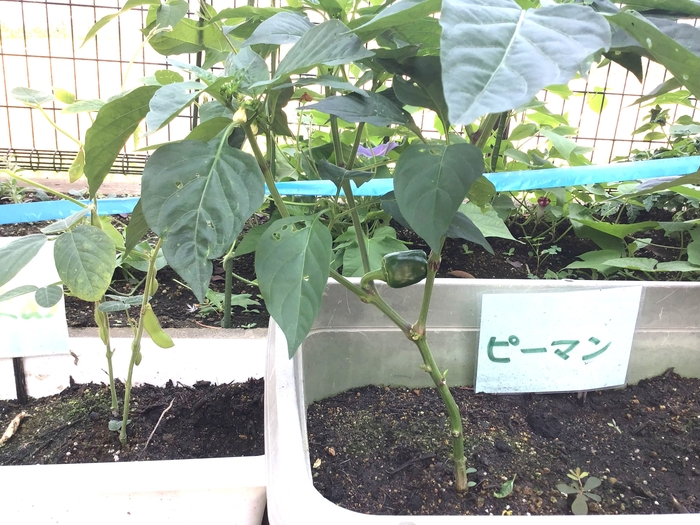 【写真⑥】.jpg