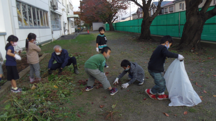 01かぜの子　芋ほり写真⑦.JPG