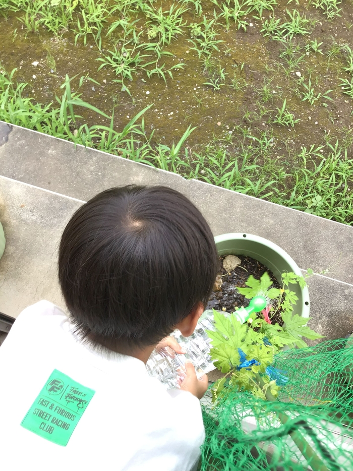 どんぐり④.jpg