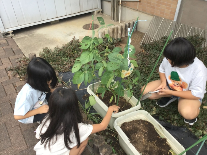 クラブ菜園① (1).jpg