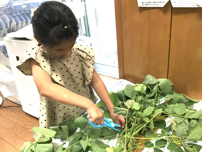 クラブ菜園②.jpg